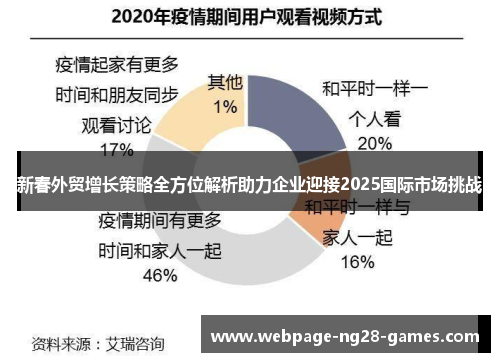 新春外贸增长策略全方位解析助力企业迎接2025国际市场挑战