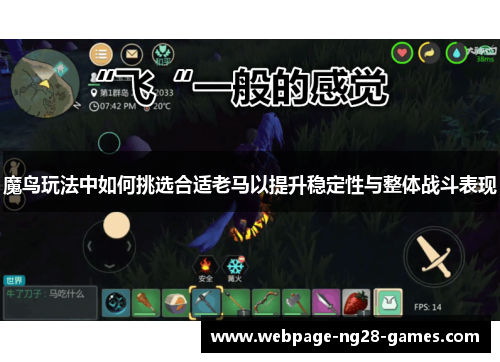 魔鸟玩法中如何挑选合适老马以提升稳定性与整体战斗表现